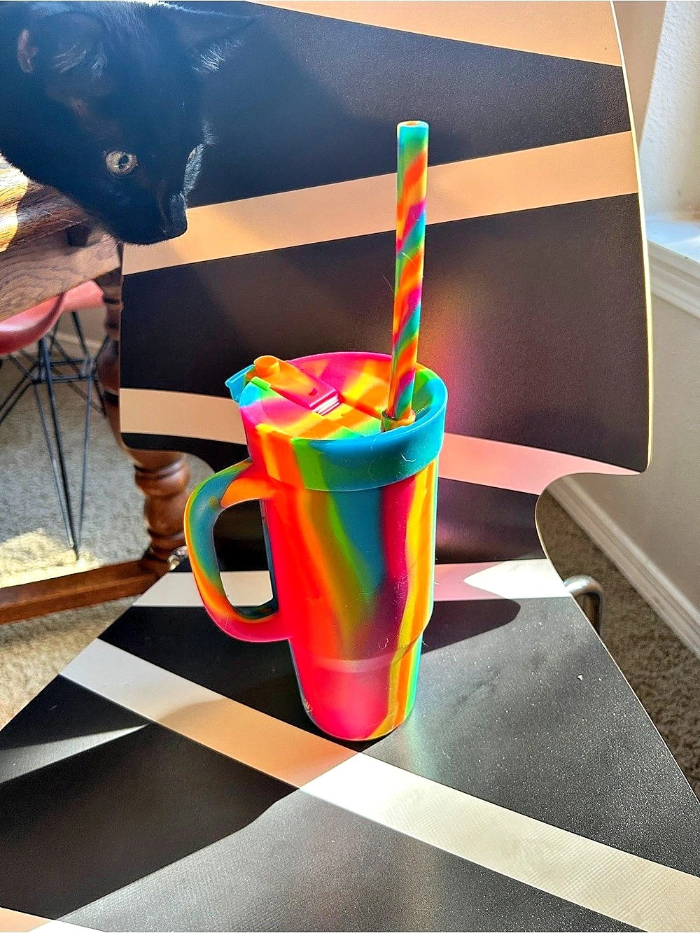 Multicolor Rainbow Tumbler with Straw